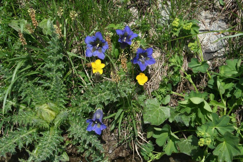 Bnb Claudy Et Elizabeth Michellod-Dutheil Le Châble Dış mekan fotoğraf